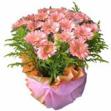 周村鲜花速递