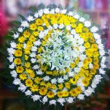 周村开业花篮